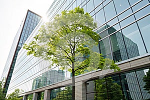 Eco architecture with green tree and glass building photo