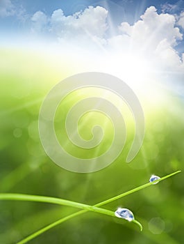 Eco background with Sky, Grass, Water Drops