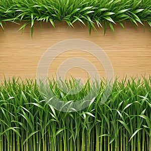 Eco background wooden natural board with wood structure and grass