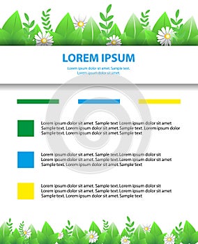 Eco brochure, flyer. Banner daisy flowers and leaf. Greeting spring and summer posters. Vector