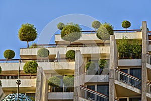 Eco building with trees