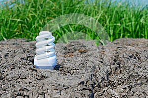 Eco bulb on cracked earth with green grass