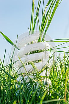 Eco bulb in green grass