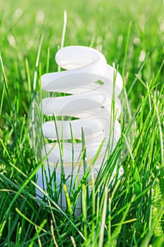 Eco bulb in green grass