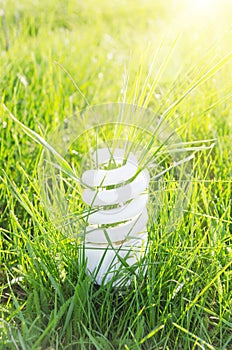 Eco bulb on green grass