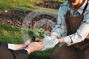 Eco-business company empower farmer with eco-friendly farming practice. Gyre