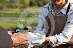 Eco-business company empower farmer with eco-friendly farming practice. Gyre