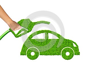 Eco car and gasoline fuel