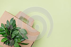 Eco cardboard box from organic materials with green leaves. Eco friendly cardbox packaging, zero waste