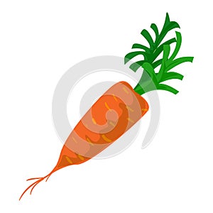 Eco carrot icon, cartoon style