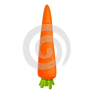 Eco carrot icon, cartoon style