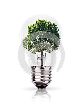 Eco concept: green tree in a light bulb.