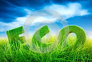 Eco concept