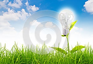 Eco concept -light bulb grow in the grass.