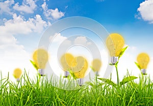 Eco concept -light bulb grow in the grass