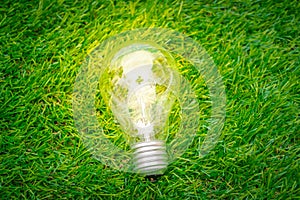 .Eco concept - light bulb grow in the grass