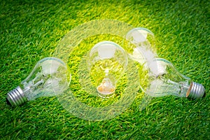 Eco concept - light bulb grow in the grass.