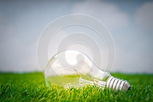 .Eco concept - light bulb grow in the grass against blue sky