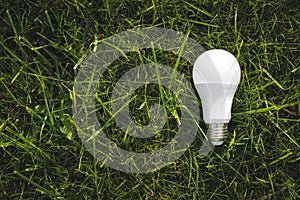 Eco concept - light bulb grow in the grass. Concept eco idea. Copy space for text