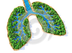 Eco concept. Trees with river in form of human lungs on a white background