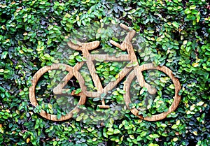 Eco concept :Wood texture Bicycle icon on green leaves wall