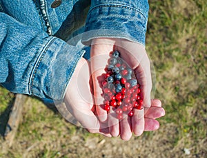 Eco conscious concept with person holding berries in hands
