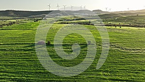 Eco-Conscious Electricity Production: Aerial View of a Wind-Electric Factory