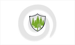 Eco cypress tree in sheild  icon logo design vector template illustration symbol  in minimal flat photo