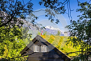 Eco ecological home grass roof