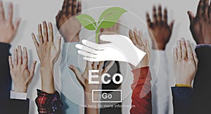 Eco Ecology Conservation Environmental Nature Concept