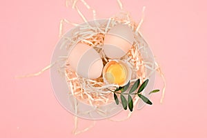 Eco eggs on a pink background. A tray of eggs on a white and pink background. eco tray with testicles. minimalistic trend, top