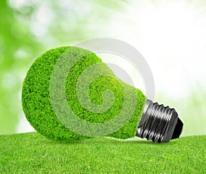 Eco energy bulb in grass