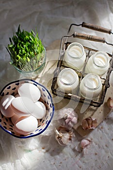 Eco farm products. Fresh eggs, milk and garlic