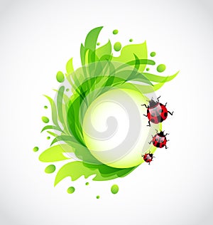 Eco floral transparent background with ladybugs