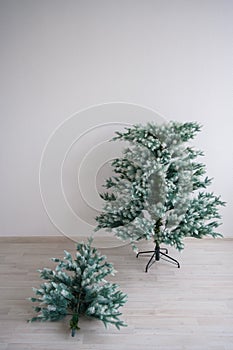 Eco-friendly artificial tree for the new year. A bare Christmas tree stands against a white wall. Traditions for a