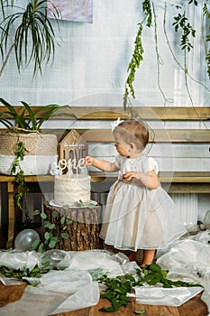 Eco Friendly Baby First Birthday Party with cake. 1st Birthday ideas with natural decoration. Sustainable eco-friendly