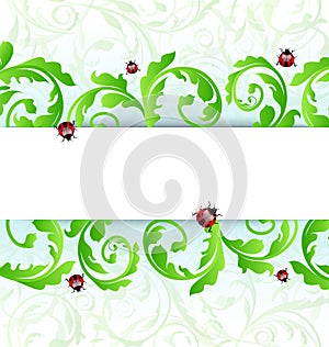 Eco friendly background with ladybugs