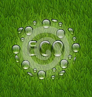 Eco friendly background with water drops on fresh green grass te
