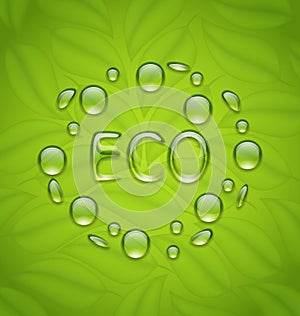 Eco friendly background with water drops on fresh green leaves t