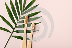 Eco-friendly bamboo toothbrushes with tropical palm leaf