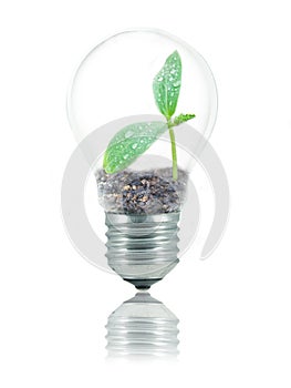 Eco friendly bulb