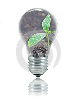 Eco friendly bulb