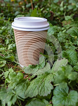 Eco-friendly coffee to go cups on green leaves background. Brown coffee paper cup with lid for coffee or tea