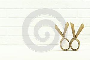 Eco friendly Easter funny eggs