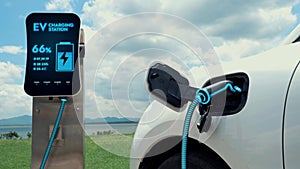 Eco-friendly EV car recharge battery in nature. Peruse