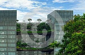 Eco friendly glass building with vertical garden in modern city. Green plant and tree forest and ivy on facade on sustainable