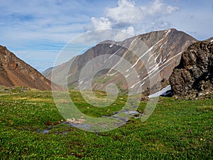 Eco-friendly green mountain highlands with a winding stream through green grass with flowering plants