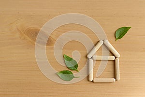 Eco-friendly home concept, top view photo
