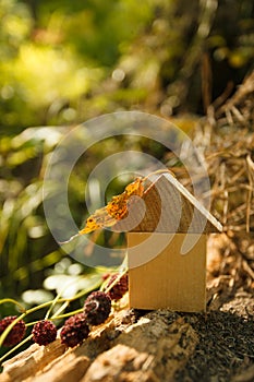 Eco Friendly house concept, Environment conservation concept, yellow fall autumn background. model home outdoors in a garden