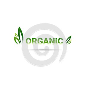 Eco Friendly Organic Natural Product Web Icon Green Logo